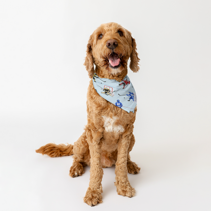 Animal Bandanas