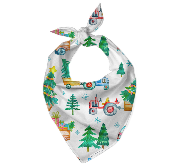 Time To Spruce Things Up Animal Bandana